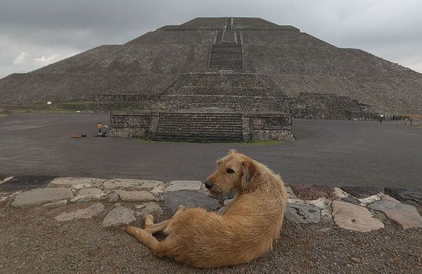 Tour to Teotihuacan from CDMX with entrances included