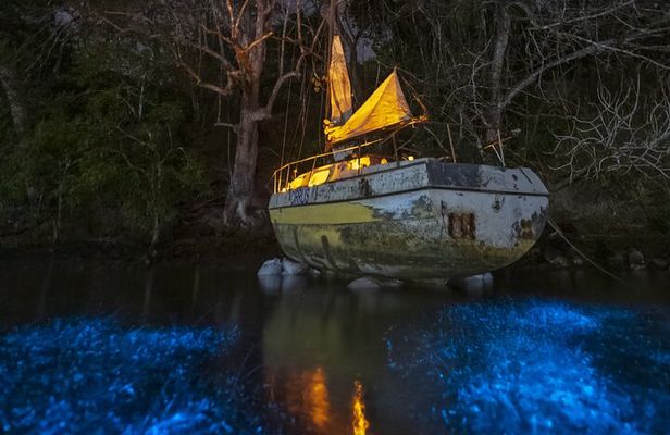 Bioluminescent Kayak Tour