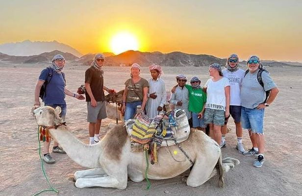 Super Safari Hurghada : Camel ride& Dinner & Quad Bike& Buggy car
