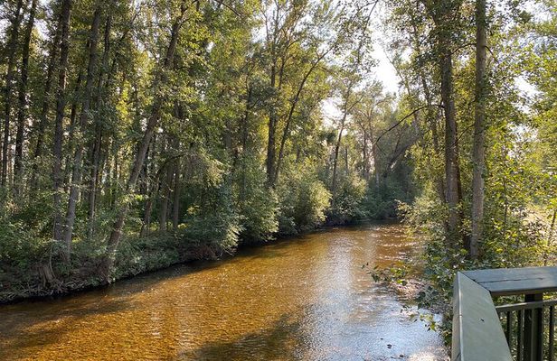 E-Bike Salmon Adventure