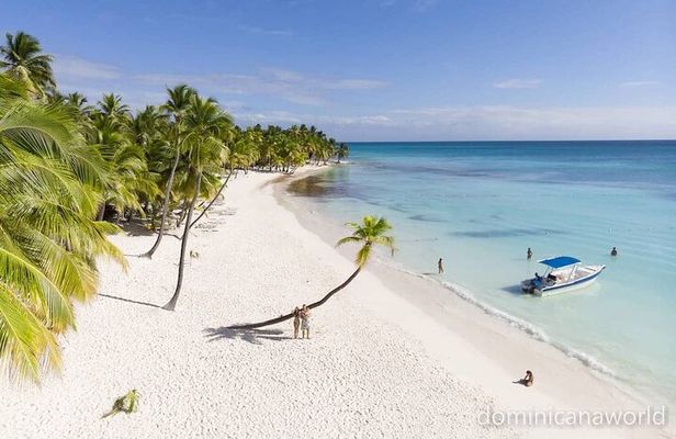Saona Private tour with personal guide and transport from Punta Cana