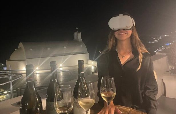 Half-Day Virtual Reality Tour and Wine Tasting