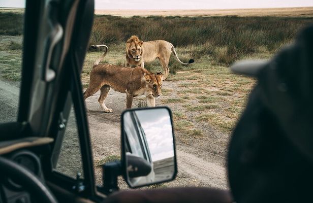 4 Days Lodge Safari in Lake Manyara, Serengeti & Ngorongoro Crater