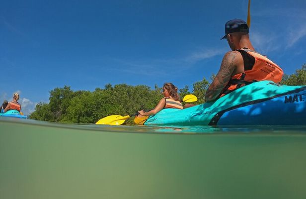 Kayaking Tour Through the Mangroves in Isla Holbox