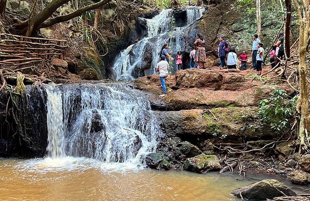 Karura Forest Nature Trail
