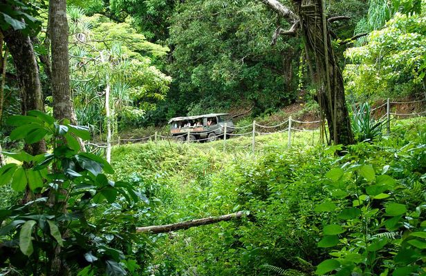 Kualoa Ranch: Jungle Expedition Tour