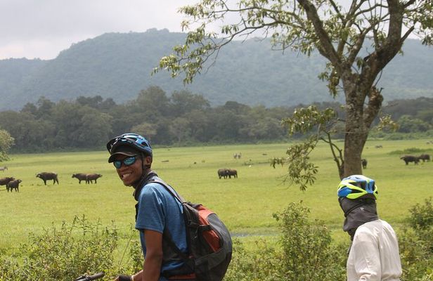 4 Days Tanzania Private Safari | Serengeti , Ngorongoro & Tarangire Safari