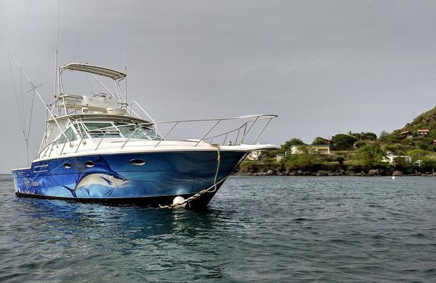 VIP Private Guided Scuba Diving/Snorkeling Excursion