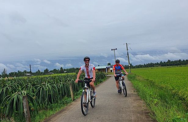 Private tour of Cycling to Mekong Delta in 1 day