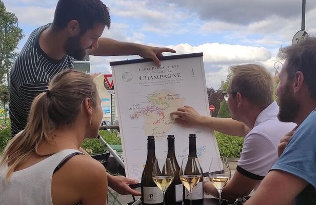 Tasting and discovery of the 3 Champagne grape varieties