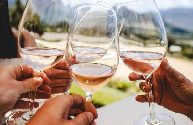 Splendour in the Winelands - Private Tour