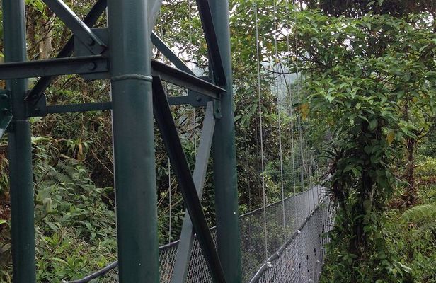 Canopy Tour in The Fabulous Hanging Bridges from San José