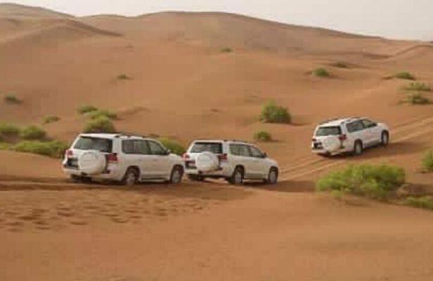 Agadir Day Excursion to Mini Sahara safari National Park Souss Massa by 4x4