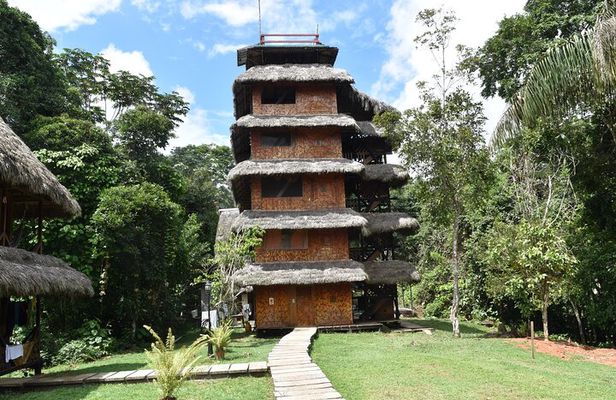 Dive into the Heart of the Wild at Caiman Eco-Lodge Cuyabeno!