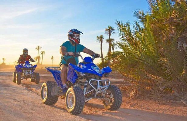 1/2 Day: Quad tour in the palm grove of Marrakech