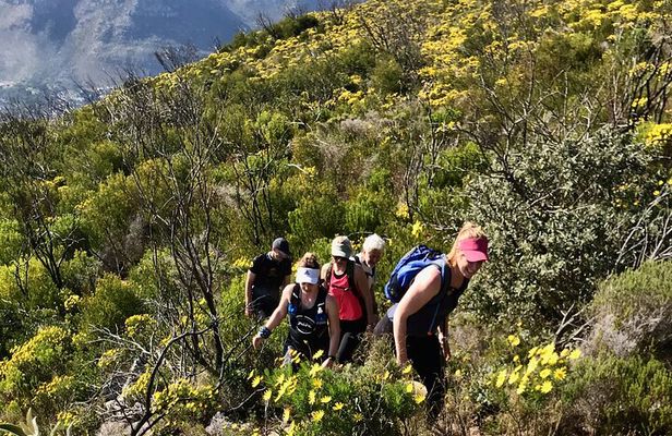 4 Day Table Mountain 13 Peaks Challenge