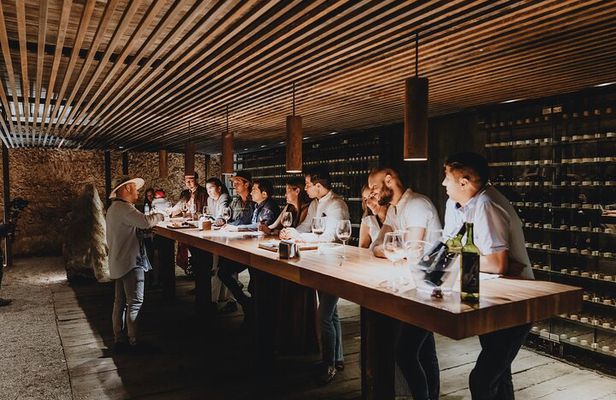 Private Tasting with Pairing in a Cava in Aguascalientes