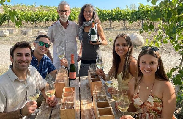 Cava tour to 3 family wineries with hotel pick-up