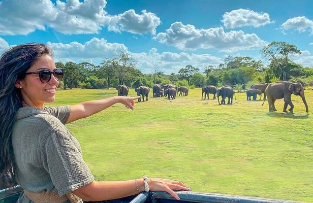 Private 7 Days Sri Lanka Tour with Safari and Cultural sites