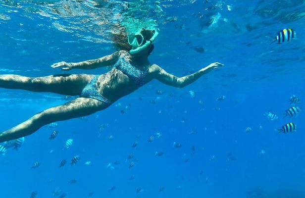 Hawaiian Culture & Snorkel Adventure with Photo/Videos