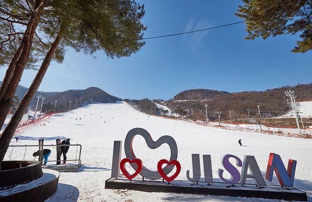 Korea Ski Tour from Seoul - Jisan Forest Resort