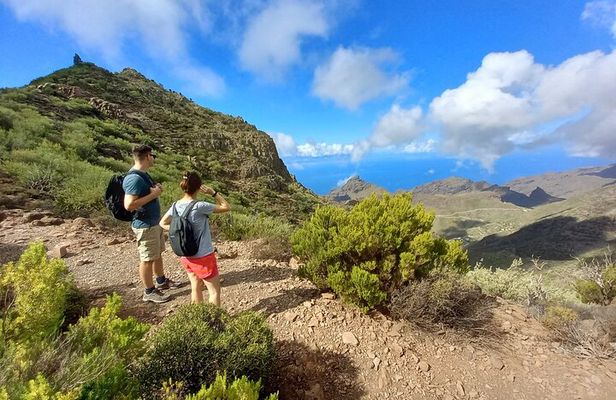 Masca from above