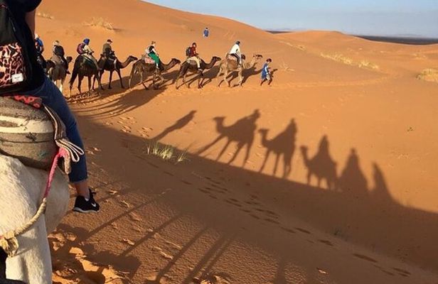Desert excursion with camel trek into the camp Dinner breakfast