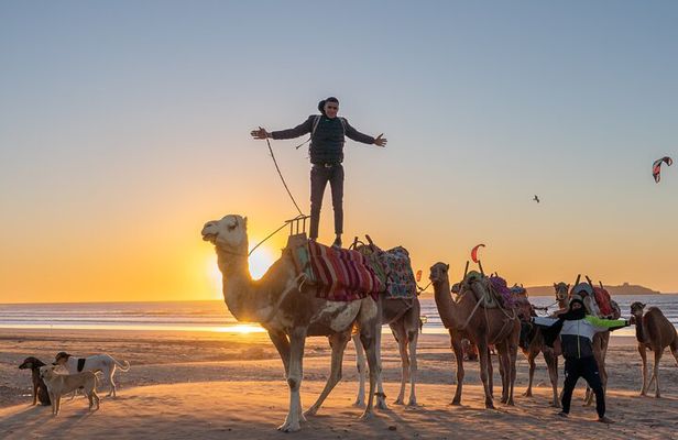 Half Day Marrakech Private Excursion