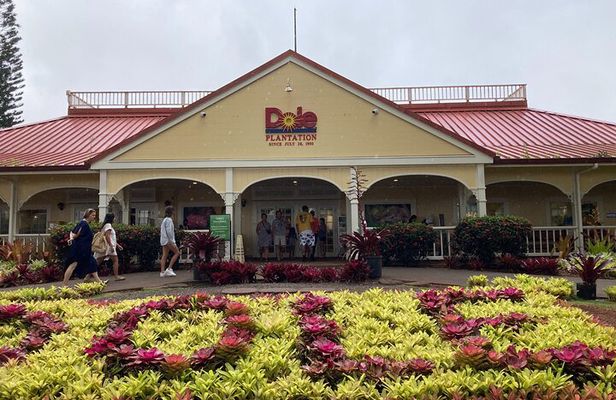 "The Dole Plantation" & "North Shore" Private Limousine VIP Tour!
