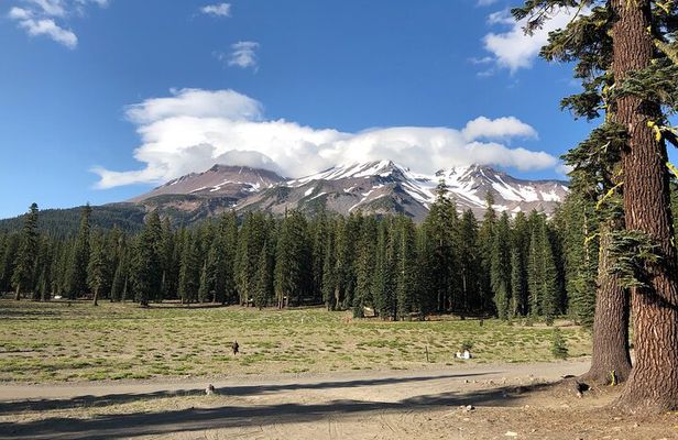 Mount Shasta Sacred Tour