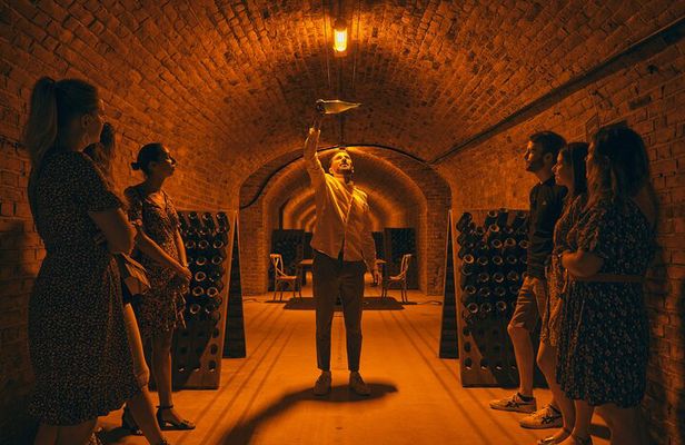 Afternoon Champagne visit & tasting class near Epernay