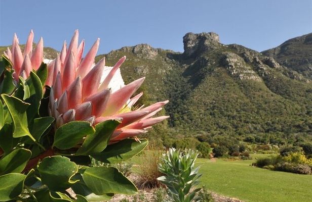 Robben Island ,Kirstenbosch Gardens and Groot Constantia.