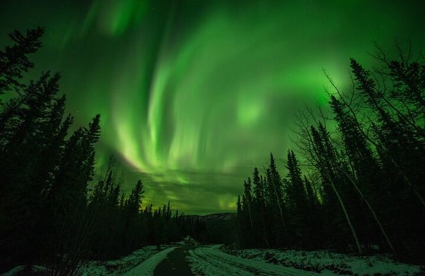 Fall Aurora Mushing Cart Ride Bucket List Adventure
