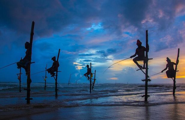 14-Days Private Tour in Sri Lanka with Pick Up