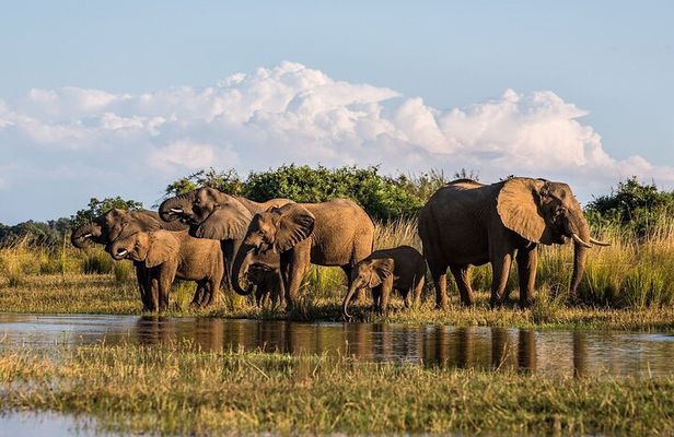 5 Day Garden Route and Botlierskop Game reserve from Cape Town