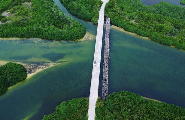 Sian Kaan Biosphere Tour! Safari from Tulum city