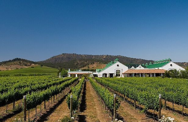 Casas del Bosque Vineyard with Lunch Menu included from Santiago
