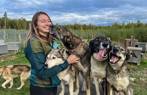 Sled Dog Kennel Tour