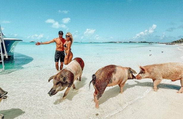 Exuma Swimming Pigs Full Day Boat Tour