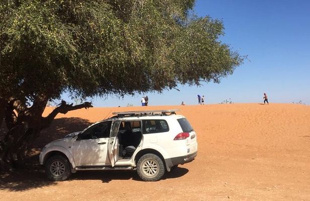 Day trip from Agadir to Massa in 4X4