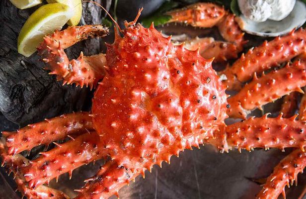 Premium King Crab Route in Tierra del Fuego