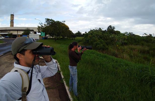 Iguazu Expeditions Morning Birdwatching