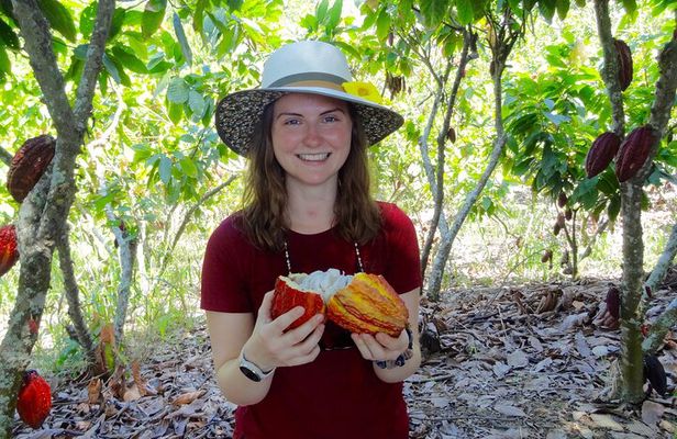 Half Day Tour Cocoa Farm Fruits and Plantations from Guayaquil