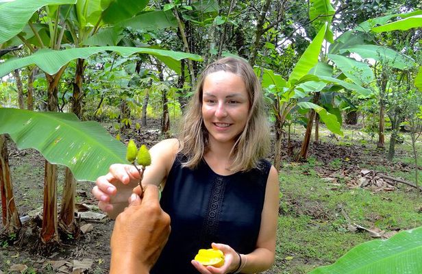 Half Day Cacao Farm and Guayaquil City Highlights Tour