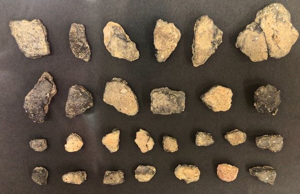 Full-Day Jomon World Heritage Site Tour in Northern Tsugaru Area