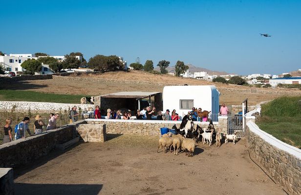 Mykonian Farm Experience