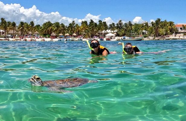Akumal; Snorkeling and Photos with Turtles