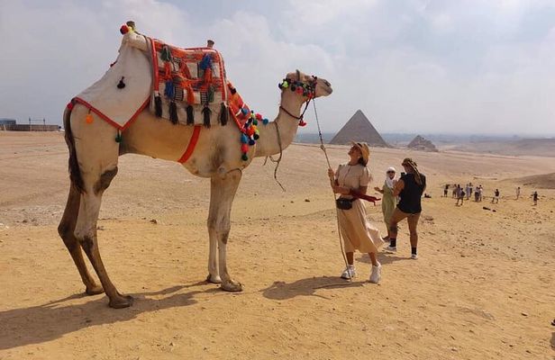 Private Tour Cairo Museum Giza Pyramids by round Plane from Sharm