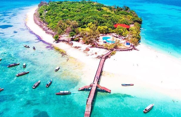 Prison Island, BlueLagoon, Starfish Tour, Rock Restaurant, Kuza Cave, Paje Beach