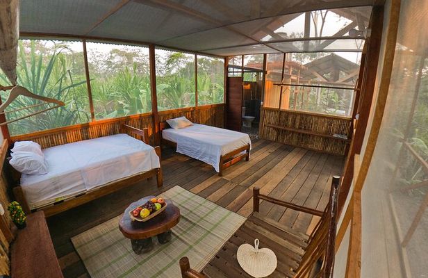 2-Day Jungle Tour: Lake Sandoval, Monkey Island, Hikes, Caiman, & Clay Lick